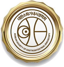 대한소화기내시경학회 인증 마크